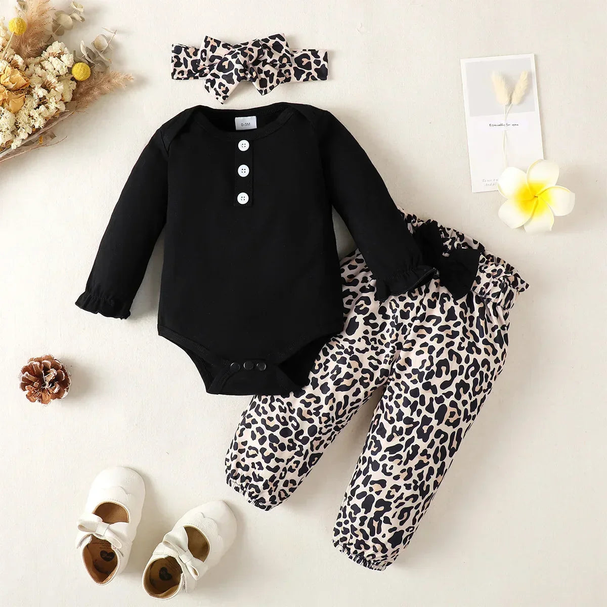 44829659365543|44829659398311|44829659431079|44829659463847|44829659496615|44829660512423