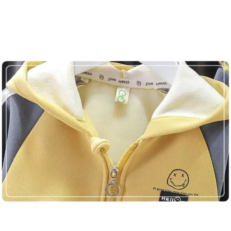 New Arrival Children's Hooded Cotton Tracksuit Boys Fashion Two Piece Kids Clothes Coat Pant Set Autumn Winter