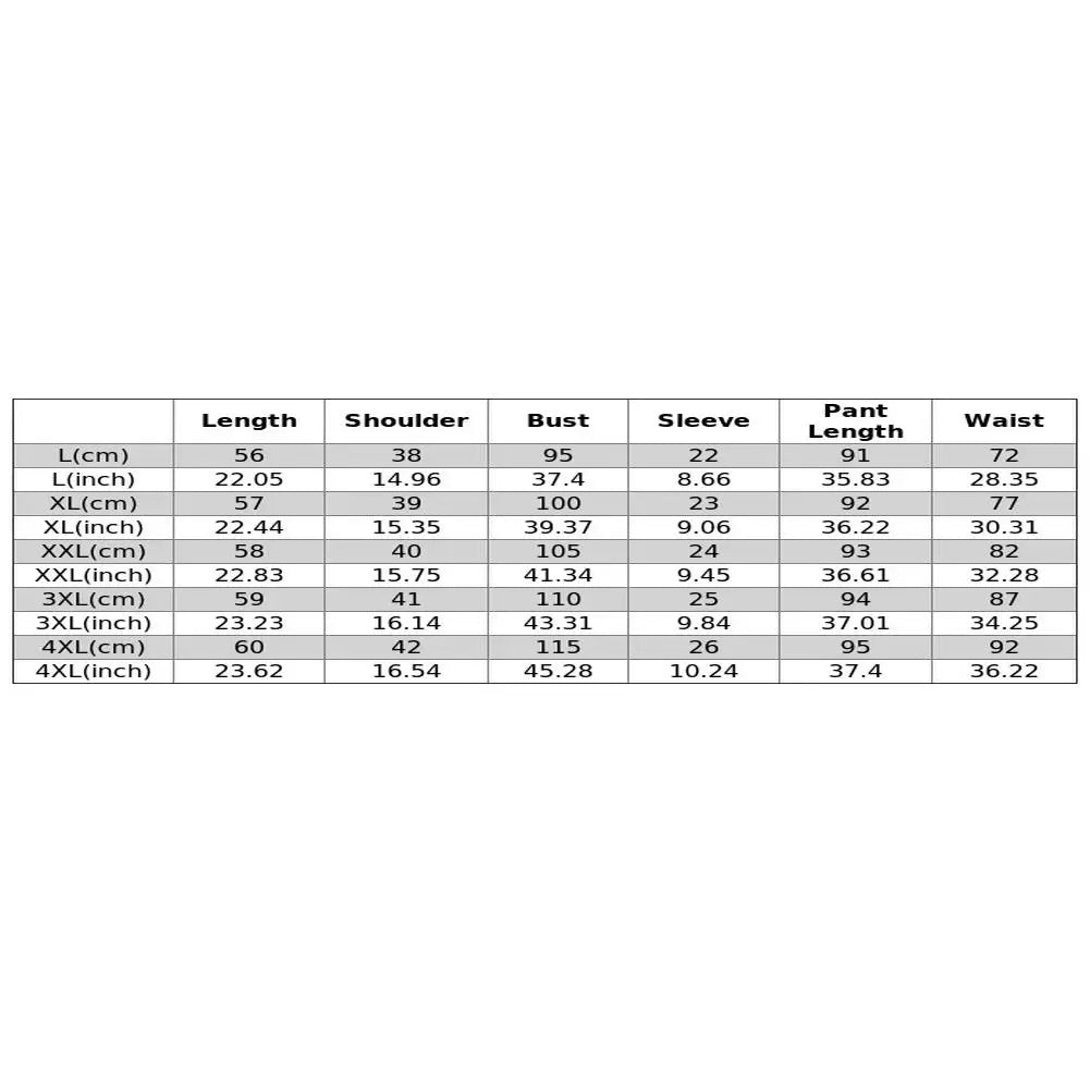 Women 2pcs/set  Plus Size Ruffle Suits Round Neck Waist-in Blouse Elastic Waist Wide Leg Trousers Two Piece Set