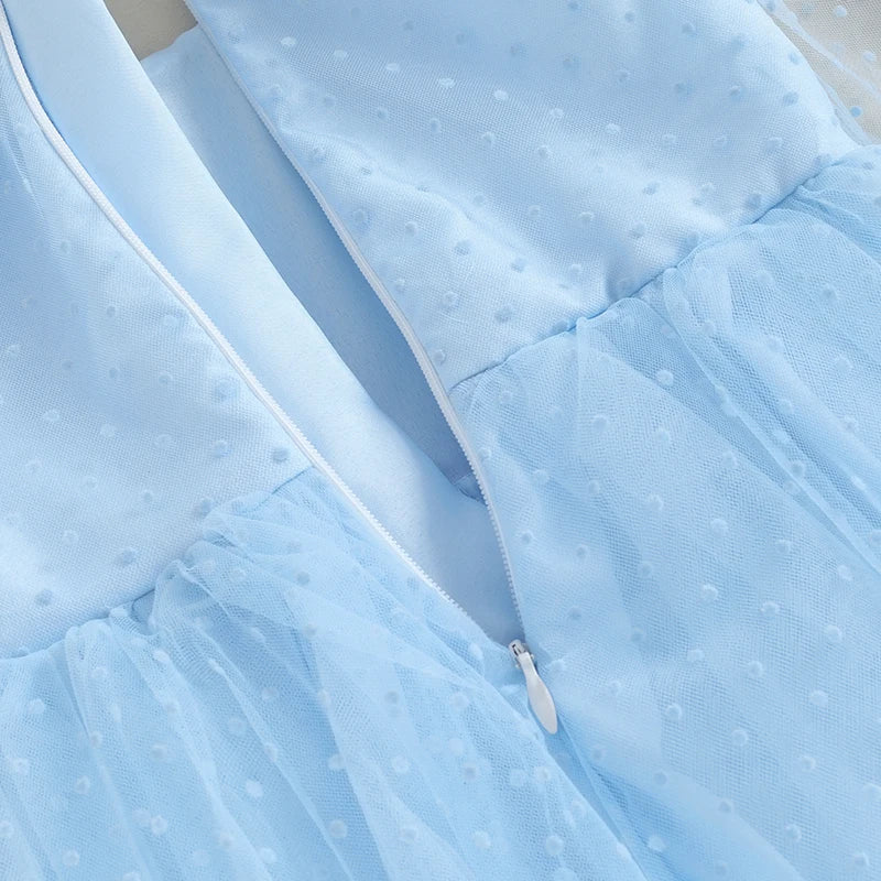 Infant Girl Princess Dress Long Sleeve Feather Trim Mesh Tutu Tulle Elegant Party Autumn Spring Fall Winter Zipper