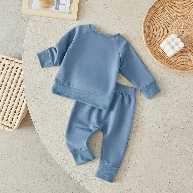 Toddler Boys Autumn 2Pcs Pants Set Long Sleeve Bear Embroidery Pullover Tops and Drawstring Pants Sets   0-3Years
